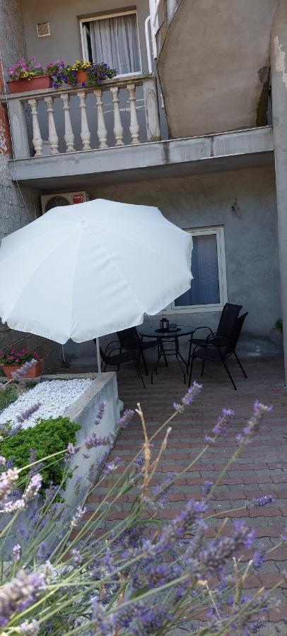 Apartman Marin - Задар Екстериор снимка